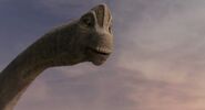 Brachiosaurus/Giraffatitan