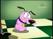 Courage afraid eustae.jpg (43 KB)