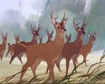 Deers (Bambi)