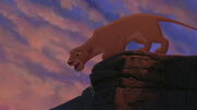 Lion-king2-disneyscreencaps.com-8575