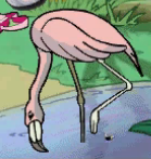 MSB Flamingo