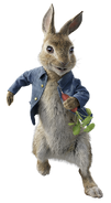 Peter rabbit 2018 character