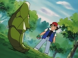 Fantasia - POKEMON METAPOOD Metapod é um pequeno pokemon inseto, fraco,  frágil e insolente, que não serve para nada, apenas para chatear a vida do  Ash, e para ter mais do que