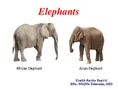 Elephants-1-638.jpg (50 KB)