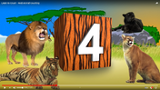 GreenScreen Animals Lions Tigers Panthers Cougars