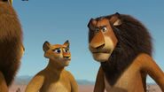 Madagascar2-disneyscreencaps.com-5022