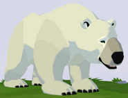 Polar Bear WOZ