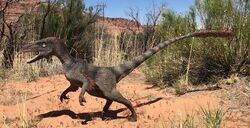 Velociraptor (V2).jpg