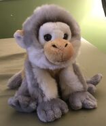 Winslow the Woolly Monkey