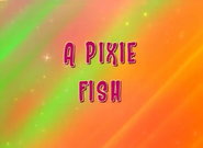 A Pixie Fish (January 11, 2011)