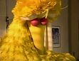 Big Bird falls asleep in the hospital when Maria tells him a story