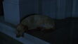 Garfield-movie-screencaps.com-4099