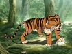 Rileys Adventures Bengal Tiger