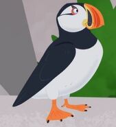 Atlantic Puffin (Wild Kratts)