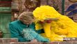Big Bird and Rosita resting on Hillary Clinton