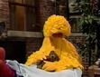 Big Bird begins to take his nap after he found Radar in episode 3884