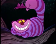 The Cheshire Cat as The Magic Mirror