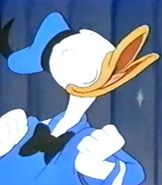 Donald Duck as Owl