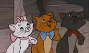 Kittens.jpg (33 KB) Marie, Toulouse, Berlioz,