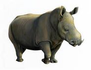 Chilotherium as Kentrosaurus