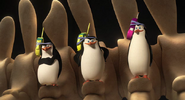 Penguins with phone