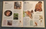The Kingfisher First Animal Encyclopedia (45)