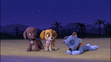 Zuma and Skye looked at Rocky sleeping