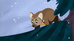 American Marten