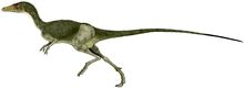 Compsognathus-dinosaurs-22266865-500-183.jpg