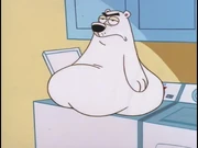 Mark the Polar Bear