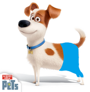 Max (The Secret Life of Pets) was wearing his swim trunks