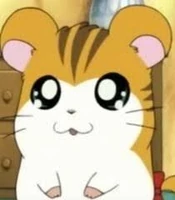 309Sandy.jpg (7 KB) Sandy (P3)