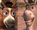 Bo and Donkey