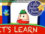LBB Humpty Dumpty