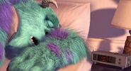 Sulley