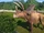 Mesozoic Tycoon 2 : Safari Adventure
