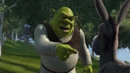 Shrek-disneyscreencaps.com-8060.jpg (351 KB)