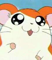 Hamtaro in Hamtaro.jpg