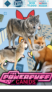 PPCNDS1998 Poster.png
