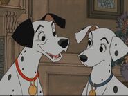 Pongo & Perdita