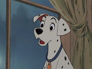 101-dalmatians-disneyscreencaps.com-5083