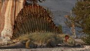 Dimetrodon as Mandrill