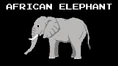 KPS African Elephant.png (128 KB)