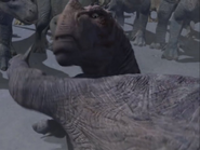 Kron about to scratch Aladar