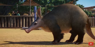 Planet Zoo Aardvark