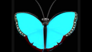 Blue Morpho Butterfly