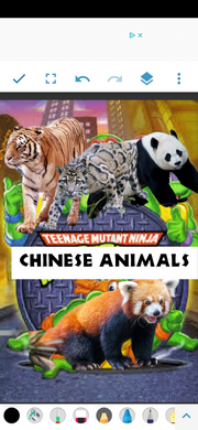 TMCA1987 Poster.png