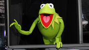 2210220 071217-kgo-shutterstock-kermit-img