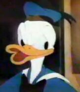 Donald Duck as the Head Kiwi