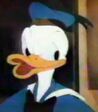 Donald Duck in DTV Valentine